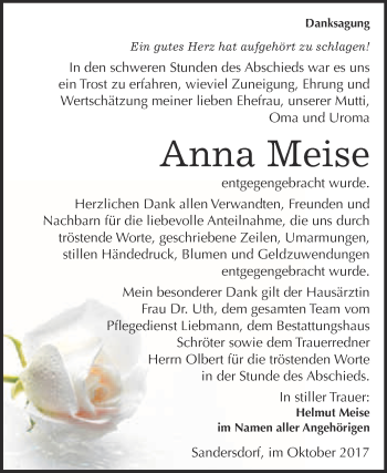 Traueranzeige von Anna Meise von WVG - Wochenspiegel Bitterfeld