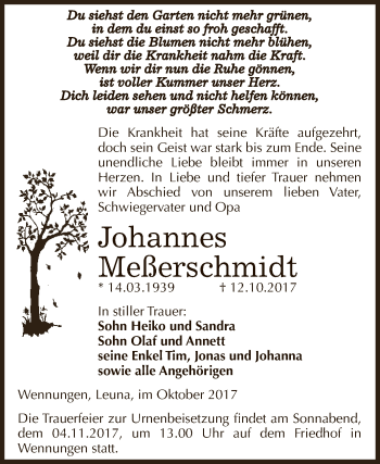 Traueranzeige von Johannes Meßerschmidt von WVG - Wochenspiegel NMB / WSF / ZTZ
