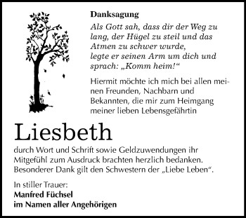 Traueranzeige von Liesbeth Naue von Mitteldeutsche Zeitung