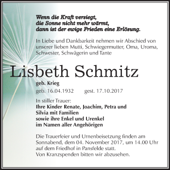 Traueranzeige von Lisbeth Schmitz von Mitteldeutsche Zeitung Quedlinburg