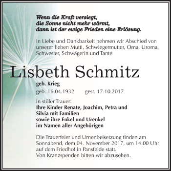 Traueranzeige von Lisbeth Schmitz von WVG - Wochenspiegel Quedlinburg