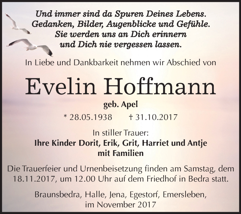  Traueranzeige für Evelin Hoffmann vom 04.11.2017 aus Mitteldeutsche Zeitung Halle/Saalkreis