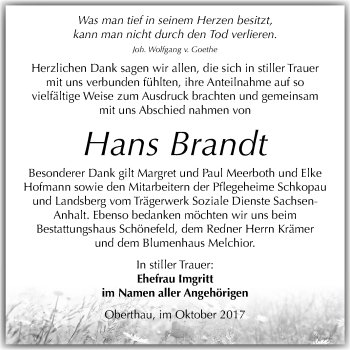 Traueranzeige von Hans Brandt von Mitteldeutsche Zeitung Merseburg/Querfurt