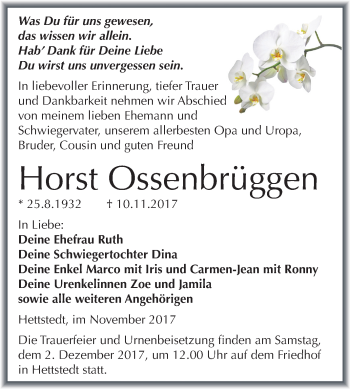 Traueranzeige von Horst Ossenbrüggen von Mitteldeutsche Zeitung
