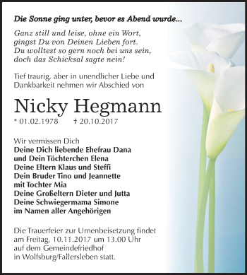 Traueranzeige von Nicky Hegmann von Mitteldeutsche Zeitung Halle/Saalkreis
