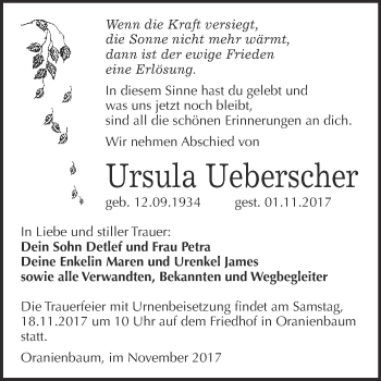 Traueranzeige von Ursula  Ueberscher von Super Sonntag Wittenberg