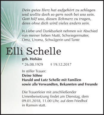 Traueranzeige von Elli Schelle von Mitteldeutsche Zeitung Bitterfeld