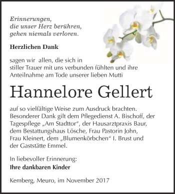 Traueranzeige von Hannelore Gellert von WVG - Wochenspiegel Wittenberg