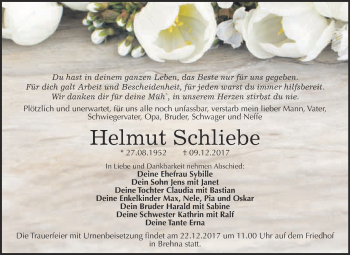 Traueranzeige von Helmut Schliebe von WVG - Wochenspiegel Bitterfeld
