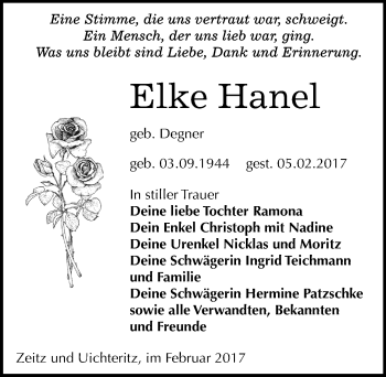 Traueranzeige von Elke Hanel von Mitteldeutsche Zeitung Zeitz
