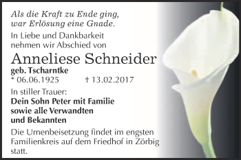 Traueranzeige von Anneliese Schneider von WVG - Wochenspiegel Bitterfeld
