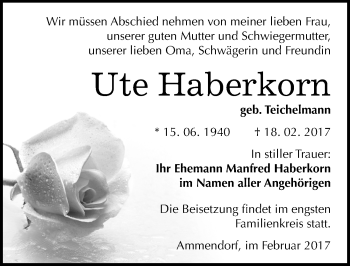 Traueranzeige von Ute Haberkorn von Mitteldeutsche Zeitung Halle/Saalkreis
