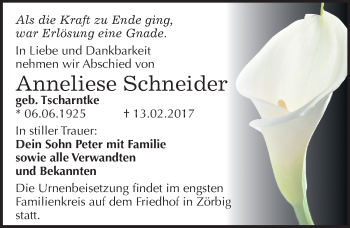 Traueranzeige von Anneliese Schneider von Mitteldeutsche Zeitung Bitterfeld