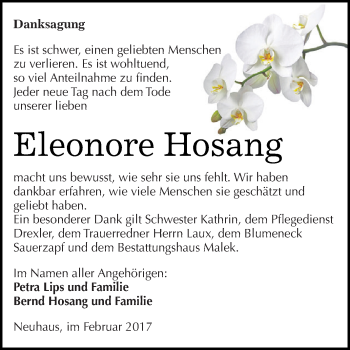 Traueranzeige von Eleonore Hosang von Super Sonntag SGH Mansf. Land