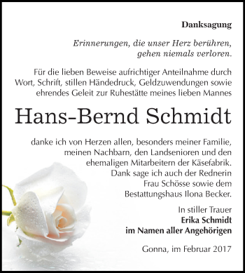 Traueranzeige von Hans-Bernd Schmidt von Super Sonntag SGH Mansf. Land