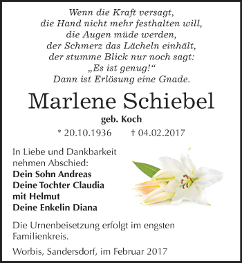 Traueranzeige von Marlene Schiebel von Mitteldeutsche Zeitung Bitterfeld