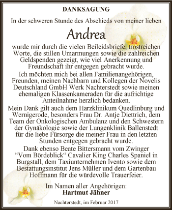Traueranzeige von Andrea Jähner von Super Sonntag SGH Mansf. Land