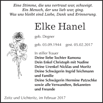 Traueranzeige von Elke Hanel von Super Sonntag Zeitz