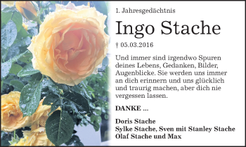 Traueranzeige von Ingo Stache von Mitteldeutsche Zeitung Halle/Saalkreis