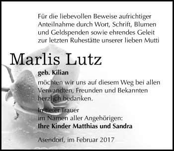 Traueranzeige von Marlis Lutz von Mitteldeutsche Zeitung Halle/Saalkreis