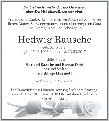 Traueranzeige von Hedwig Rausche von Super Sonntag SGH Mansf. Land