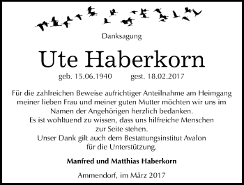 Traueranzeige von Ute Haberkorn von Mitteldeutsche Zeitung Halle/Saalkreis