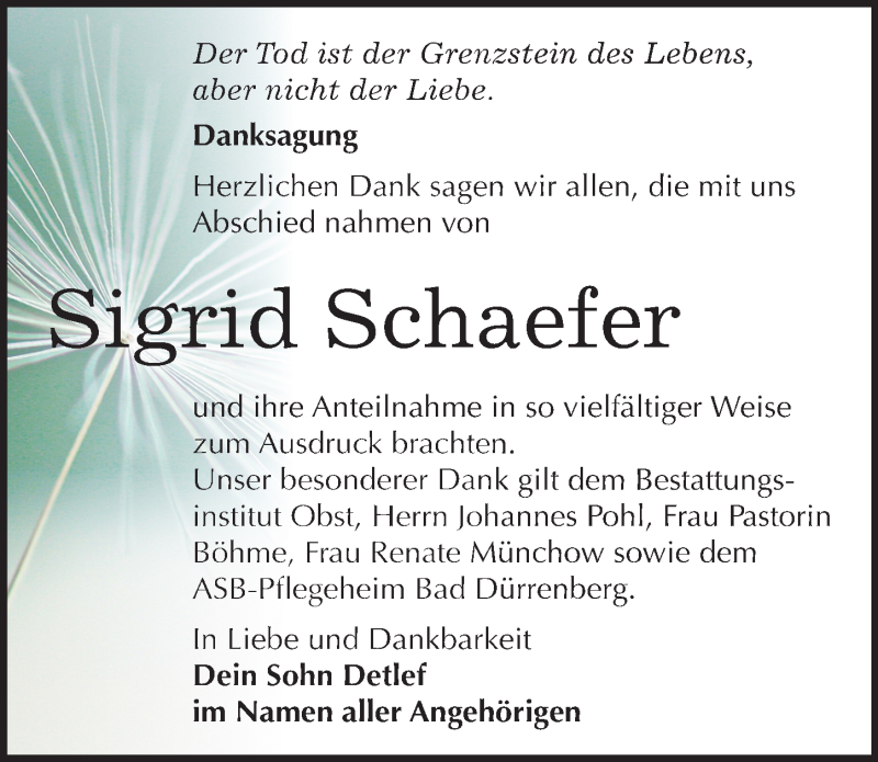  Traueranzeige für Sigrid Schaefer vom 20.05.2017 aus Mitteldeutsche Zeitung Merseburg/Querfurt