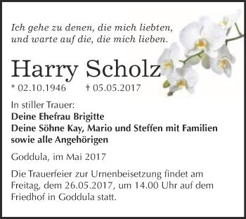 Traueranzeige von Harry Scholz von Super Sonntag Merseburg