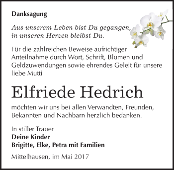 Traueranzeige von Elfriede Hedrich von Mitteldeutsche Zeitung Sangerhausen