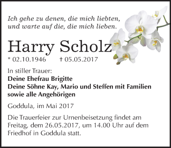 Traueranzeige von Harry Scholz von Mitteldeutsche Zeitung Merseburg/Querfurt