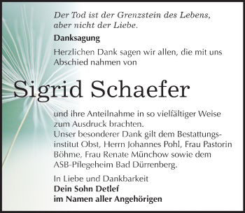 Traueranzeige von Sigrid Schaefer von Mitteldeutsche Zeitung Merseburg/Querfurt
