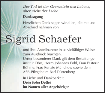 Traueranzeige von Sigrid Schaefer von Super Sonntag Merseburg