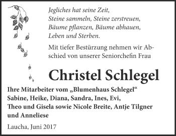 Traueranzeige von Christel Schlegel von WVG - Wochenspiegel NMB / WSF / ZTZ