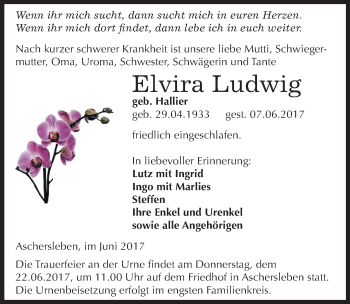 Traueranzeige von Elvira Ludwig von Mitteldeutsche Zeitung Aschersleben