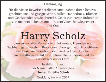Traueranzeige von Harry Scholz von Super Sonntag Merseburg