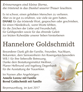 Traueranzeige von Hannelore Goldschmidt von Super Sonntag SGH Mansf. Land