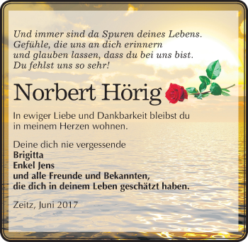 Traueranzeige von Norbert Hörig von Mitteldeutsche Zeitung Zeitz