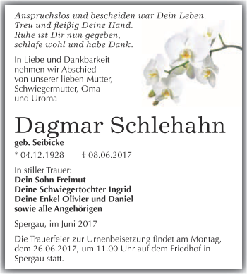 Traueranzeige von Dagmar Schlehahn von Super Sonntag Merseburg