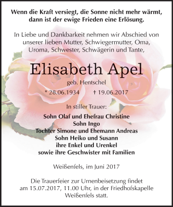 Traueranzeige von Elisabeth Apel von Mitteldeutsche Zeitung Weißenfels