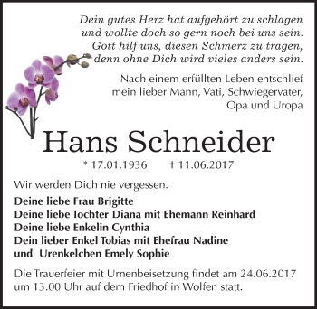 Traueranzeige von Hans Schneider von Mitteldeutsche Zeitung Bitterfeld