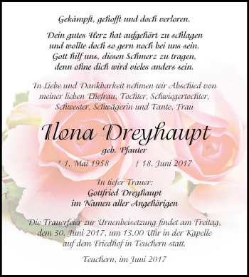 Traueranzeige von Ilona Dreyhaupt von WVG - Wochenspiegel NMB / WSF / ZTZ