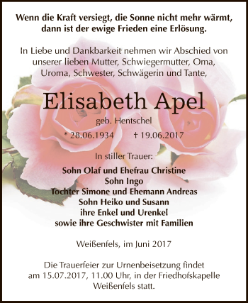 Traueranzeige von Elisabeth Apel von WVG - Wochenspiegel NMB / WSF / ZTZ