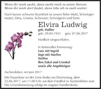 Traueranzeige von Elvira Ludwig von Super Sonntag Aschersleben