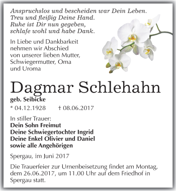 Traueranzeige von Dagmar Schlehahn von Mitteldeutsche Zeitung Merseburg/Querfurt