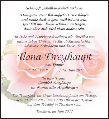 Traueranzeige von Ilona Dreyhaupt von Mitteldeutsche Zeitung Weißenfels