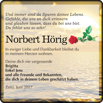 Traueranzeige von Norbert Hörig von Super Sonntag Zeitz