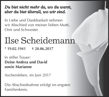 Traueranzeige von Ilse Scheidemann von Super Sonntag Aschersleben