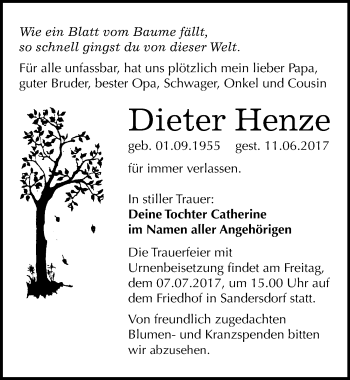 Traueranzeige von Dieter Henze von Mitteldeutsche Zeitung Bitterfeld