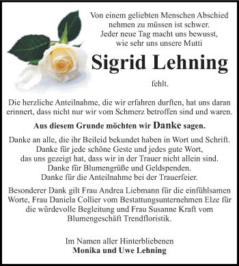 Traueranzeige von Sigrid Lehning von WVG - Wochenspiegel Dessau / Köthen
