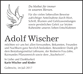 Traueranzeige von Adolf Wischer von WVG - Wochenspiegel Wittenberg